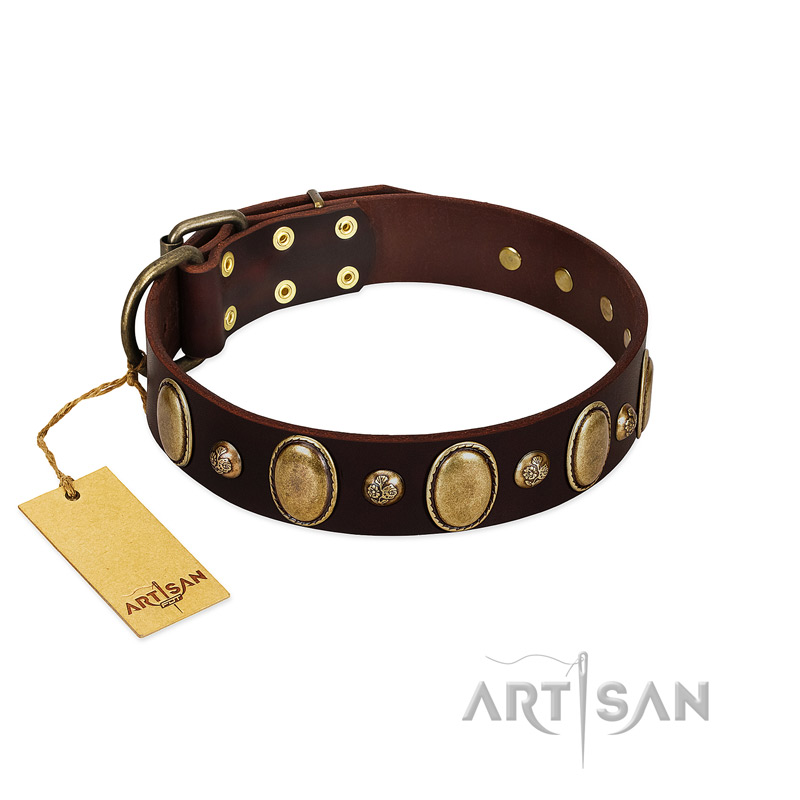 "Natural Grace" FDT Artisan Handmade Decorated Brown Leather Amstaff Collar