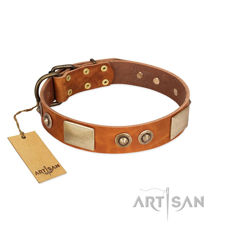 "Perfect Blend" FDT Artisan Tan Leather Amstaff Collar 1 1/2 inch (40 mm) wide - Click Image to Close