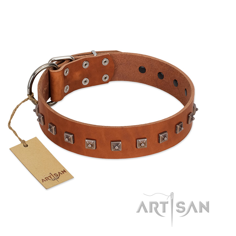 "Guard of Honour " Designer FDT Artisan Tan Leather Amstaff Collar with Small Dotted Pyramids