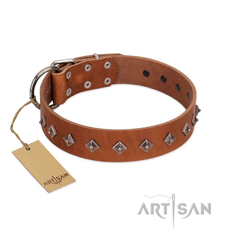 "Broadway" Handmade FDT Artisan Tan Leather Amstaff Collar with Dotted Pyramids