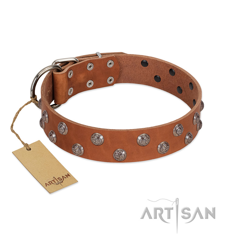 "Waltz of the Flowers" Handmade FDT Artisan Tan Leather Amstaff Collar with Chrome-plated Engraved Studs