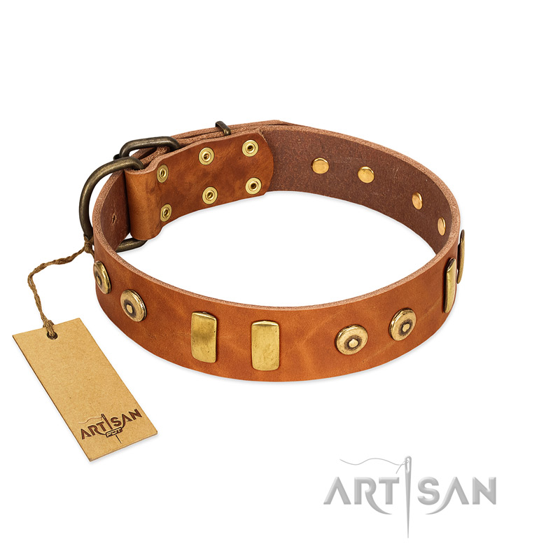 "Egyptian Script" FDT Artisan Tan Leather Amstaff Collar with Plates and Small Studs