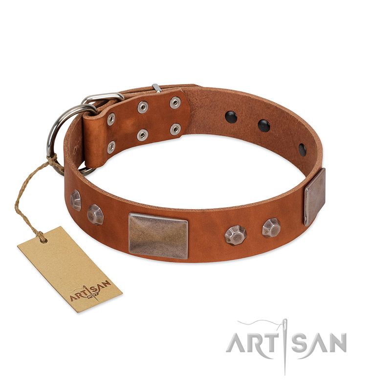 "Great Obelisk" Handcrafted FDT Artisan Tan Leather Amstaff Collar with Large Plates and Pyramids