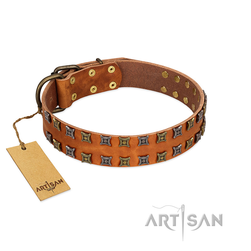 "Terra-cotta" FDT Artisan Tan Leather Amstaff Collar with Two Rows of Studs