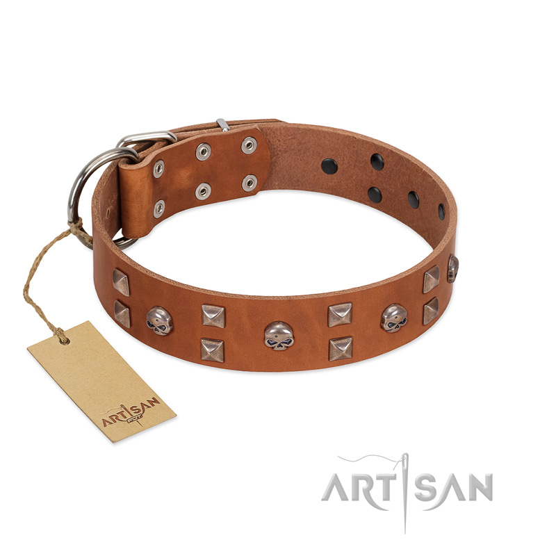 "Enchanted Skulls" FDT Artisan Tan Leather Amstaff Collar with Chrome Plated Skulls