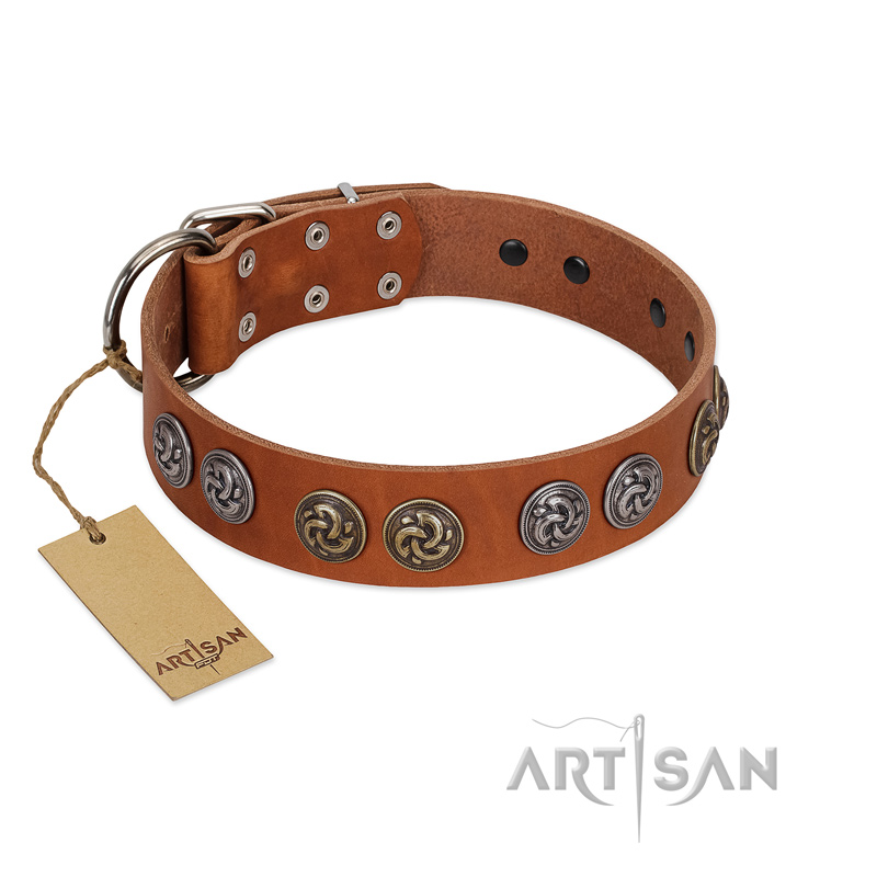 "Luxurious Life" Premium Quality FDT Artisan Tan Leather Amstaff Collar with Round Adornments