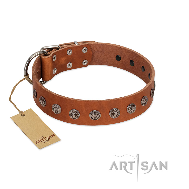 "Lucky Star" Handmade FDT Artisan Designer Tan Leather Amstaff Collar with Round Plates