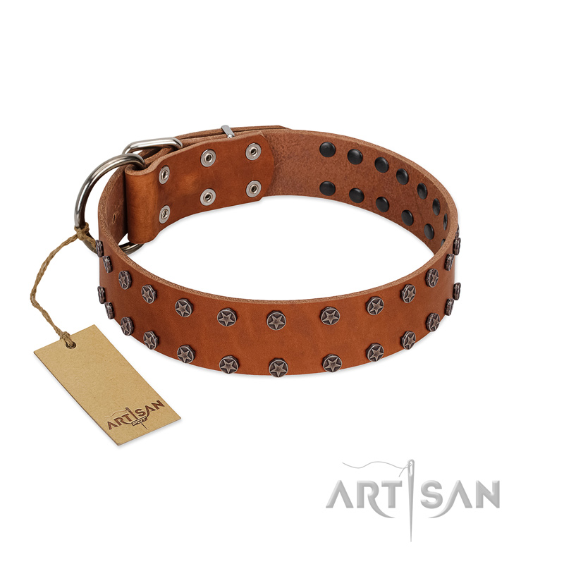 "Star Light" Stylish FDT Artisan Tan Leather Amstaff Collar with Silver-Like Studs