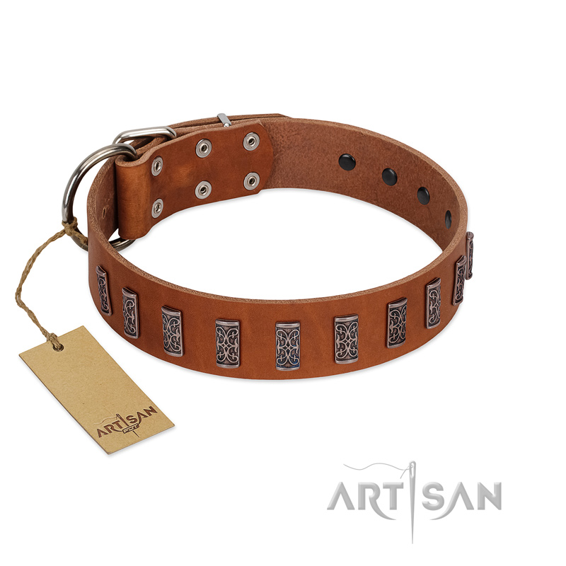 "Silver Century" Fashionable FDT Artisan Tan Leather Amstaff Collar with Silver-Like Plates