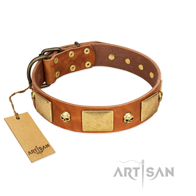 "Mutt The Daredevil" FDT Artisan Tan Leather Amstaff Collar with Old Bronze-like Skulls and Plates