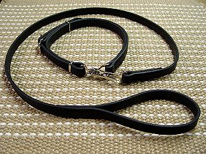 Police / hunting" dog leash and collar (combo) for amstaff dog