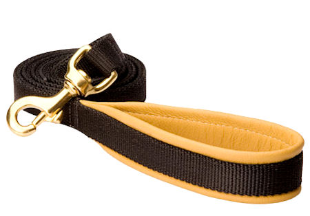 Padded Handle Dog Lead (Leash) for Amstaff