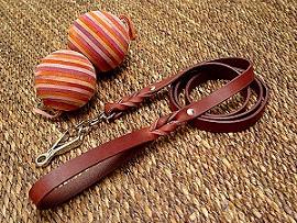 Leather dog leash with quick release snap hook for amstaff dog