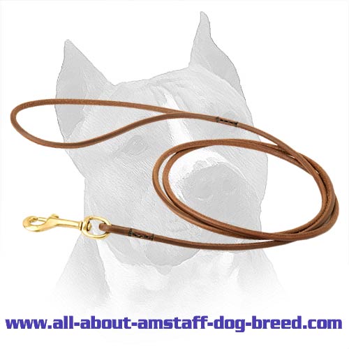 Exclusive Dog Leash With A Sturdy Hardware