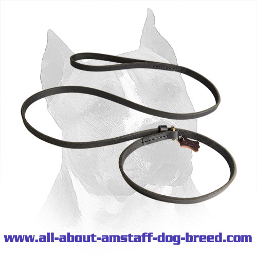 Amstaff Leather Lead and Choke Collar with Stitched Handle