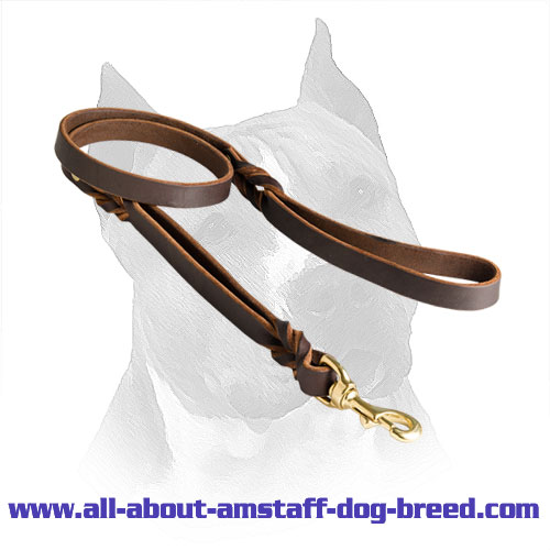 Leather Amstaff Lead Brass Hardware