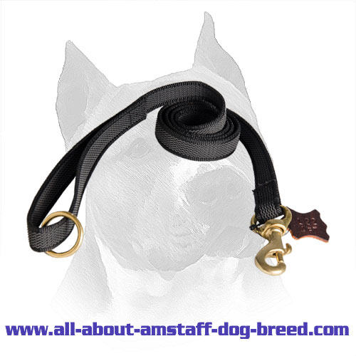 Nylon Stitched Amstaff Lead Waterproof