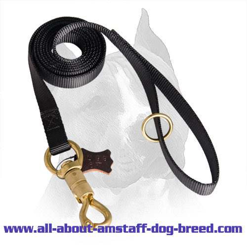 Nylon Lead Amstaff Waterproof Strap