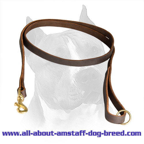 Leash Brass Fittings Amstaff Handcrafted