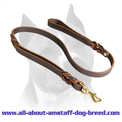 Amstaff Leather Braided Leash Waxed Edges