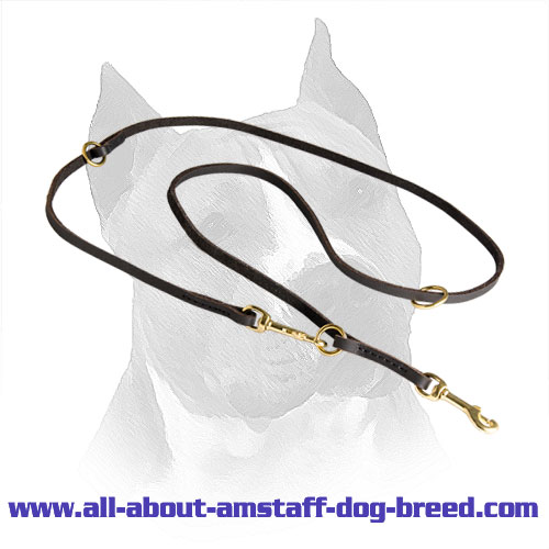 Leash Amstaff Leather Dog Coupler