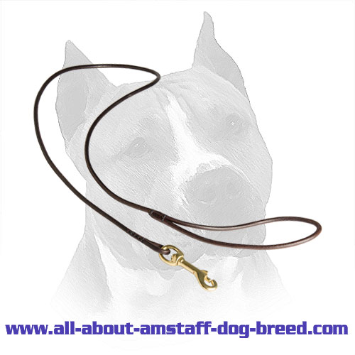 Leather Leash Amstaff Stitched Edges