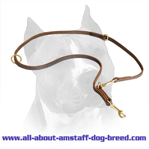 Amstaff Leather Leash for Daily Walking