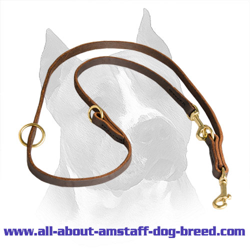 Amstaff Breed Leather Leash with Massive Snap Hooks