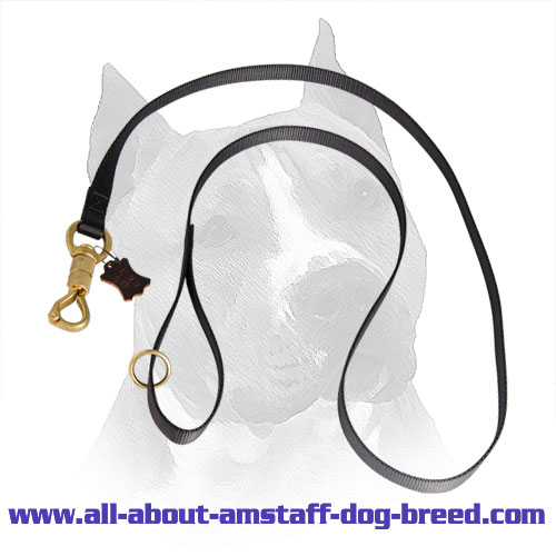 Nylon Leash Amstaff Brass Fittings