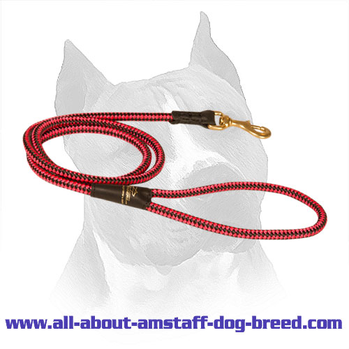 Nylon Cord Leash Amstaff Brass Snap Hook