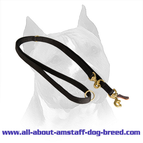 Nylon Leash for Amstaff Effective Training