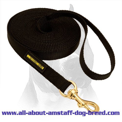 Exclusive Durable Nylon Dog Leash 