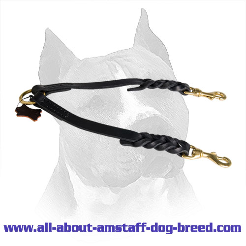 Amstaff Leather Braided Coupler Brass Hardware