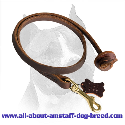 Amstaff Lead Leather Brass Snap Hook