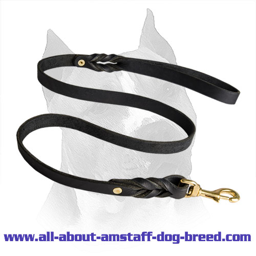 Amstaff Leash Leather Brass Fittings