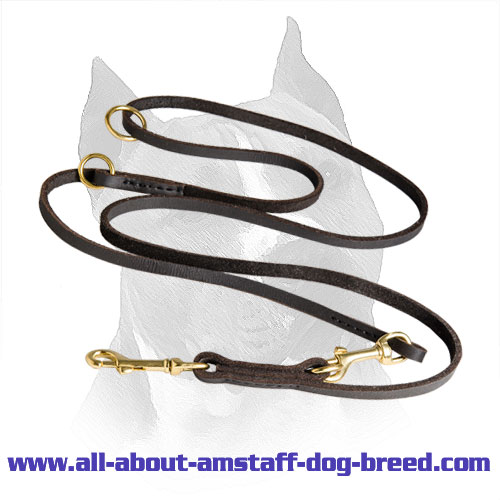 Amstaff Leather Leash Brass Hardware