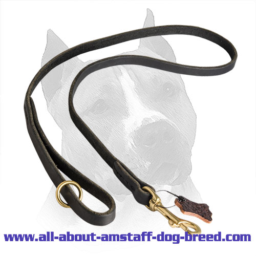 Leather Leash Amstaff Brass Hardware