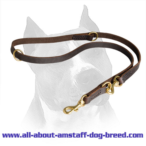 Leash Amstaff Leather Stitched Edges