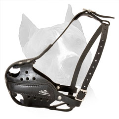 Amstaff Leather Dog Muzzle Steel Nickel Plated  Hardware