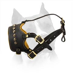 Extra-Comfy Leather Amstaff Dog Muzzle With Nappa  Padding