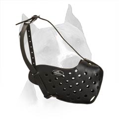 Fully Safe Amstaff Dog Leather Muzzle With Good Air  Flow 