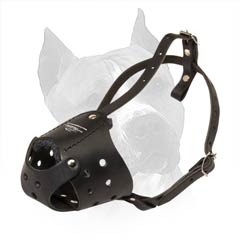 Leather Muzzle: Walk more, Feel Better, Live Longer