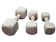 Dog Training Dumbbells