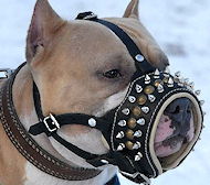 Our Best-Selling Royal Spiked Leather Dog Muzzle